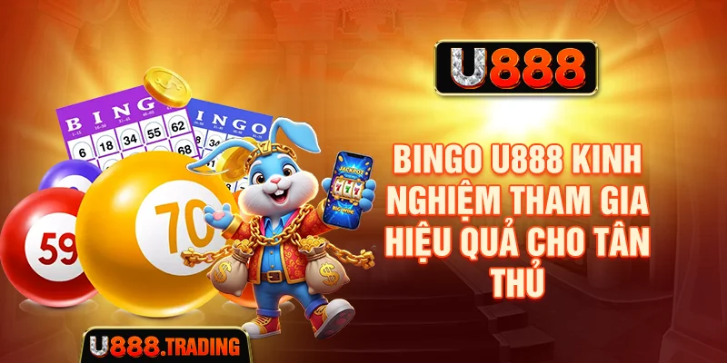 Bingo U888 - Kinh Nghiệm Tham Gia Hiệu Quả Cho Tân Thủ