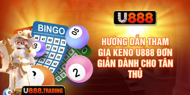 Hướng dẫn chọn dãy số Bingo U888 đơn giản cho tân thủ