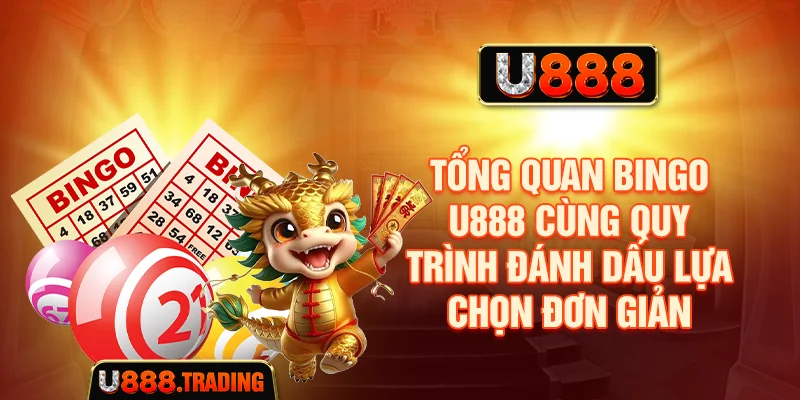 Tổng quan Bingo U888 với quy trình chọn dãy đơn giản